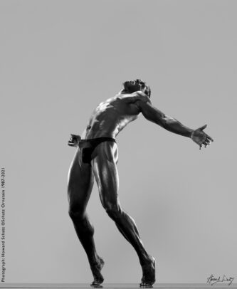 Howard Schatz Body