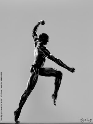 Howard Schatz Body