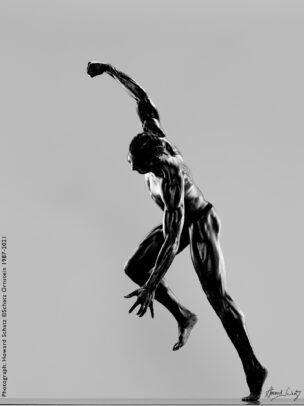 Howard Schatz Body
