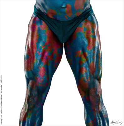 Howard Schatz Body