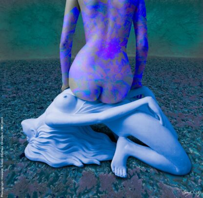 Howard Schatz Body