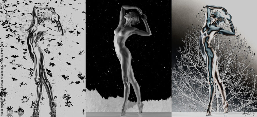 Howard Schatz Body