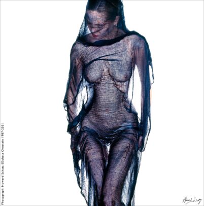 Howard Schatz Body