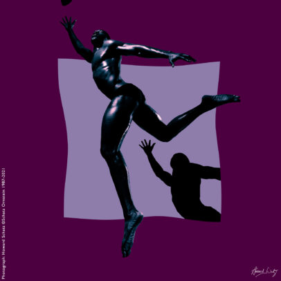 Howard Schatz Body