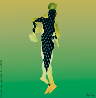 Howard Schatz Body