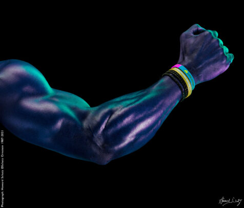 Howard Schatz Body