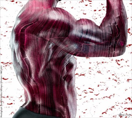 Howard Schatz Body