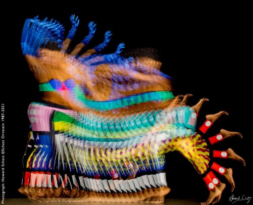 Dance Howard Schatz