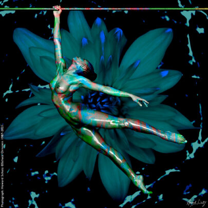 Dance Howard Schatz